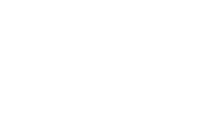 PEGASO LOGO BLCO